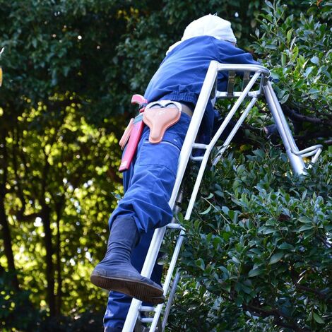脚立に登って作業するスタッフ