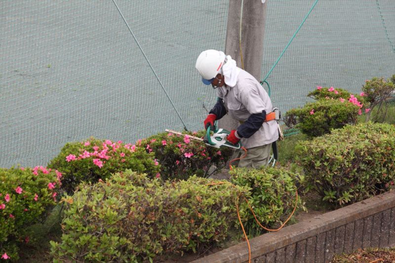 植え込みを手入れするスタッフ